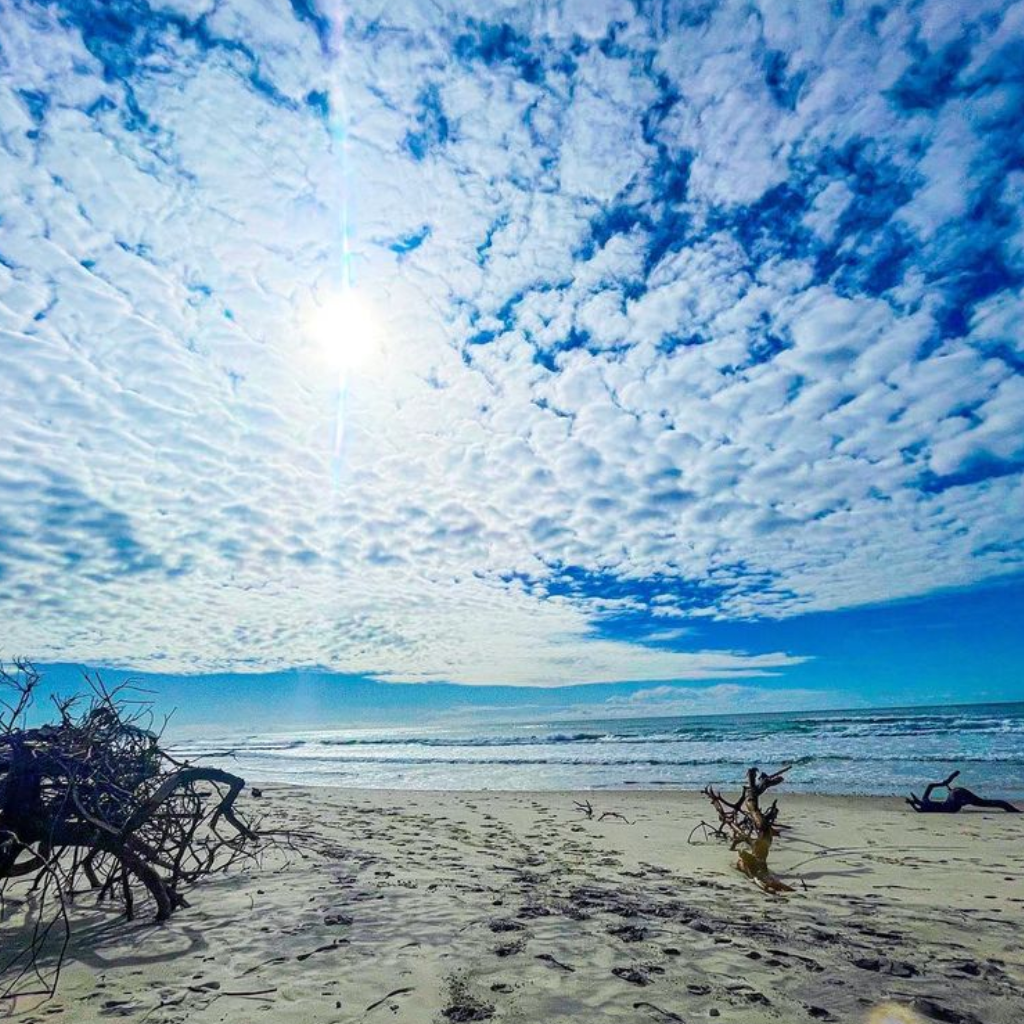 Whispering Winds Petite Poetry